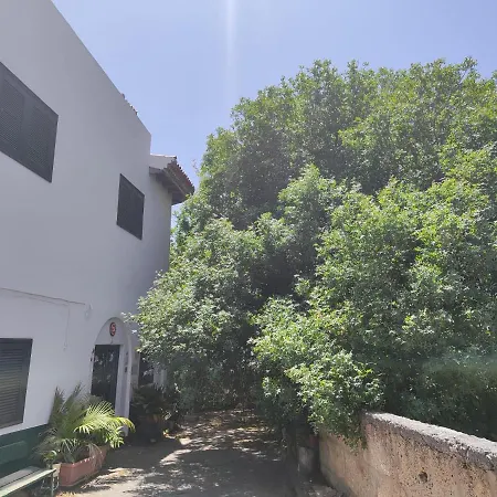 La Casa Del Almacigo 아로나